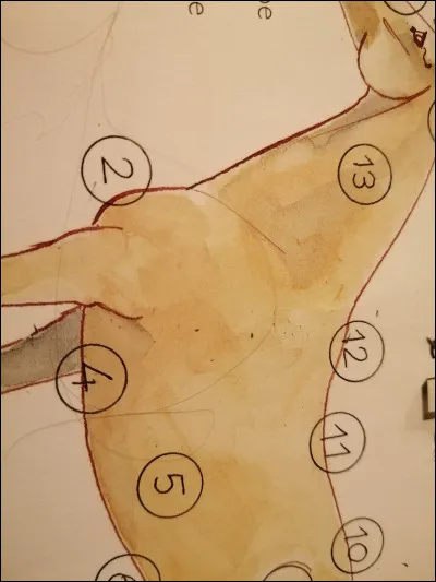 Quelle est la partie 13 du cheval ?