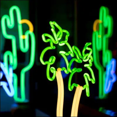 &Agrave; quel groupe d�&eacute;l&eacute;ments chimiques appartient le n&eacute;on ?