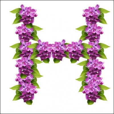 Heidi : qui a écrit cette série de roman de la littérature jeunesse ?