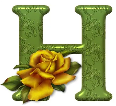 Hiroshima : elle fut victime de la dramatique attaque nucléaire, en 1945. Quel était le nom de la bombe atomique ?