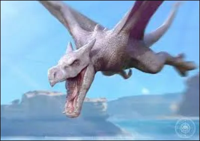 Quel est ce Pokémon ?