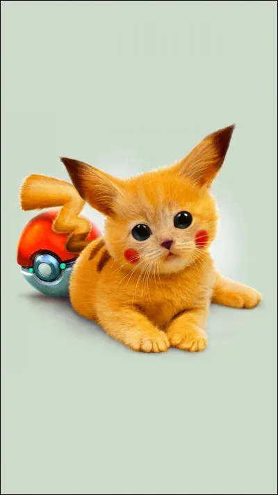 Quel est ce Pokémon ?