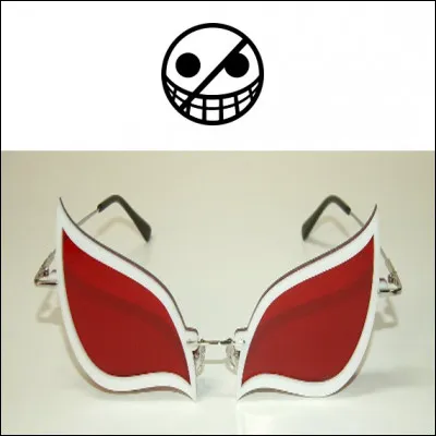 Qui porte ces lunettes ?