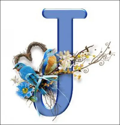 Julienne : quel poisson est ainsi nommé ?