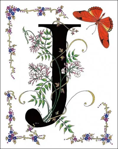 Jolly Jumper : le cheval de Lucky Luke, quelle est sa race ?