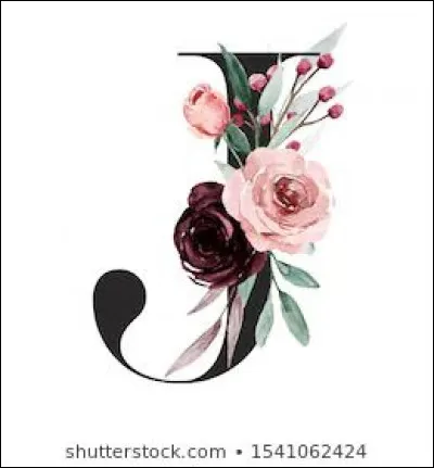 Jour : qui chantait "Le Jour s'est levé" ?