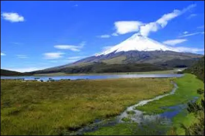 Quels sont les deux pays frontaliers de l'Equateur ?