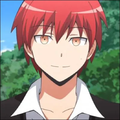 Quel est ce garçon ?