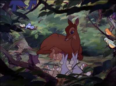 Quelle est l'endroit de vie qui te fait le plus rêver ?