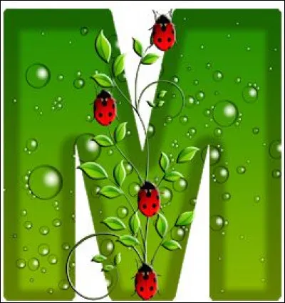 Macumba : à qui appartient cette chanson ?