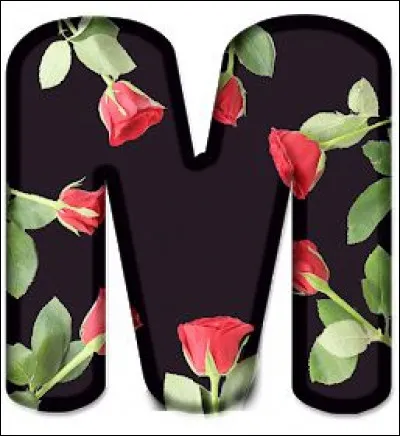 Mongolie : c'est un pays immense avec une superficie d'1, 566 million de km². Quelle est la densité de sa population ?