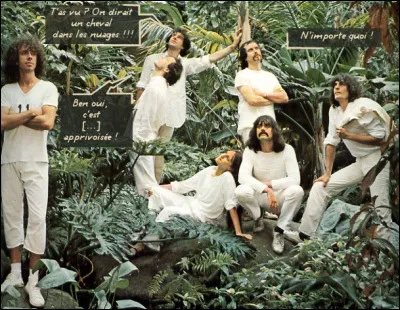 On va donner dans l'étrange, autrement dit le "folk français" (dès années 70) et même dans le bizarre : y aurait pas de la betterave ?