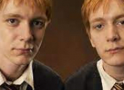 Test Avec lequel des jumeaux Weasley sortirais-tu ?