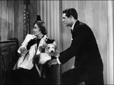 Qui a joué dans "Cette sacrée vérité" ?