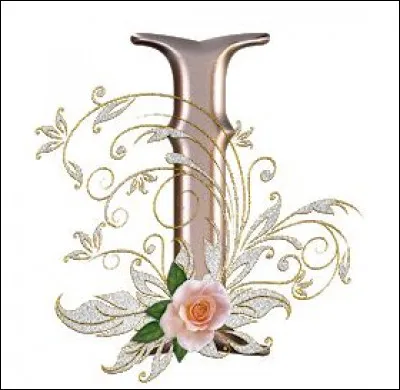 Inuits : ils vivent de chasse et de pêche, dans les régions arctiques de l'Amérique du Nord. Combien en reste-t-il actuellement ?