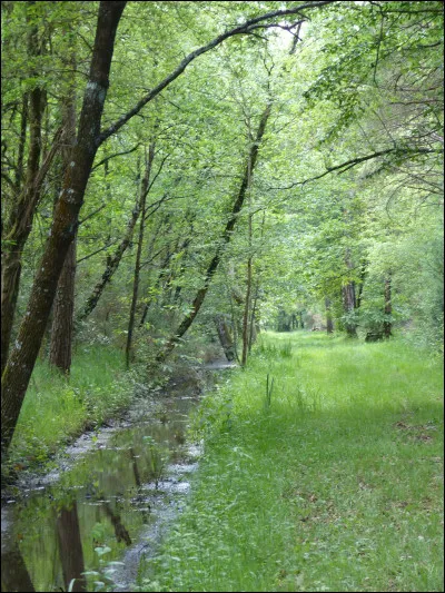 Avec 16 km et un nom plus que bizarre, il n'y a pas de quoi rouler les mécaniques ! Du coup, il se jette dans la Sarthe, le ...