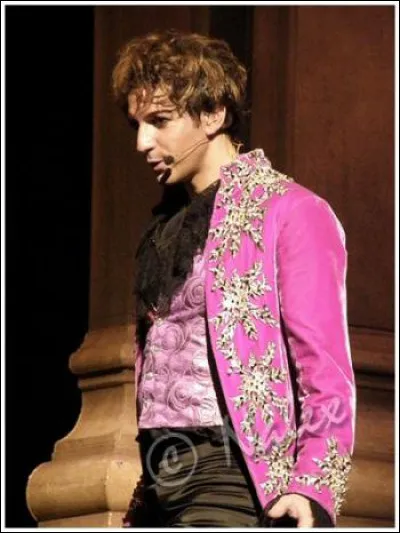 Qui est cet artiste de la comédie musicale "Mozart, lOpéra Rock" ?