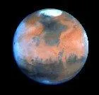 Quelle est cette plante ? (surnomme la plante rouge)