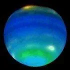 Quelle est cette plante ? (90 % environ de cette plante est recouvert d'eau)