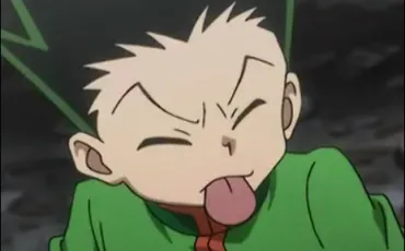Quiz Hunter x hunter