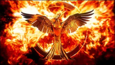 Dans Hunger Games 2, qui est son nouveau muet (au Capitole) ?