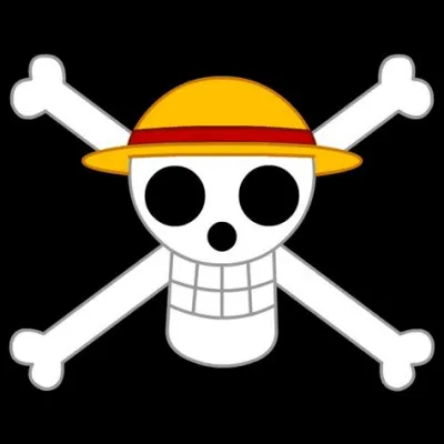 Quel pirate arbore ce pavillon ?