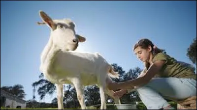 Lequel de ces fromages n'est pas fait avec du lait de chèvre ?