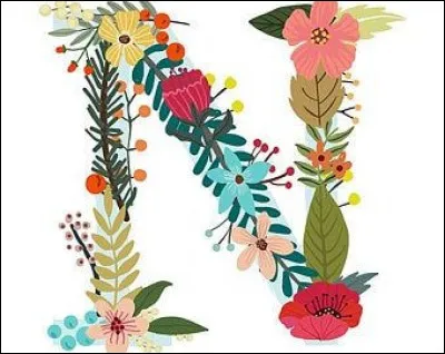 Navarin : qu'est-ce ?