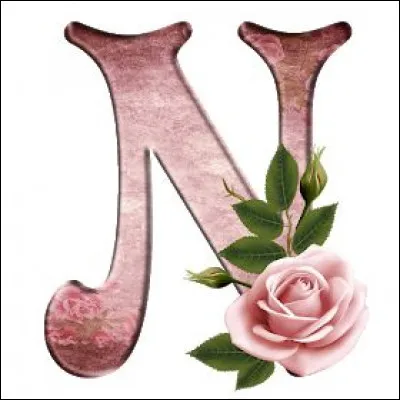 Natacha : qui a créé cette BD ?