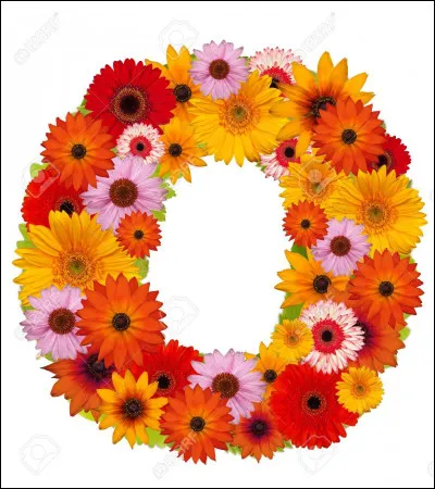 Ours : dans le film "L'Ours" de Jean-Jacques Annaud, quel est le nom de l'ours (adulte) ?