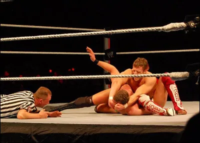 De qui la "Yes Lock " est le finisher ?