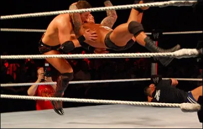 De qui le "superman punch" est-il le finisher ?