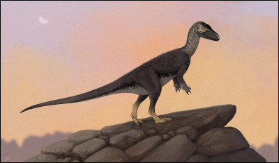 Dans quelle région du monde l'Eoraptor vivait-il ?