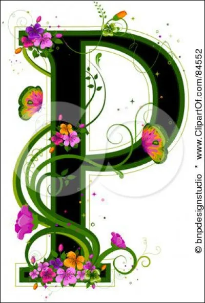 Peau : qui est l'auteur du roman "La Peau de chagrin" ?