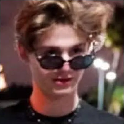 Quelle est sa couleur préférée ?