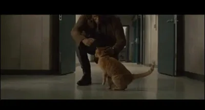 À quel film appartient cette image ?