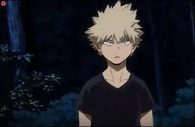 Quel est le nom du père de Bakugo ?