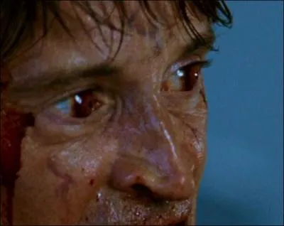 Don est le premier  se faire infecter de nouveau. Par quel vecteur ?