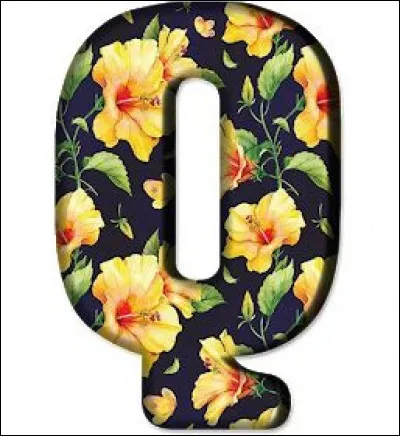 Quiz : écrivez-le au pluriel et en français !