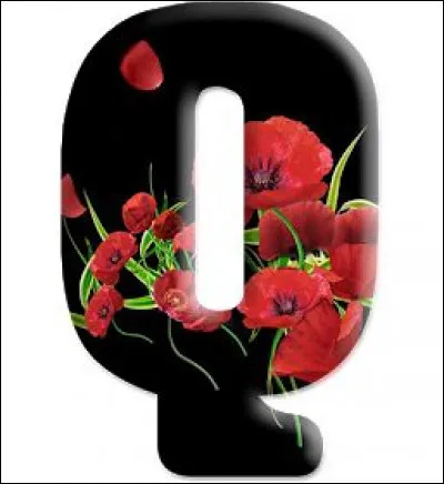 Quiberon : dans quel département se trouve-t-elle ?