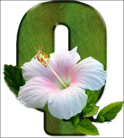 Quartz : laquelle de ces pierres n'est pas un quartz ?