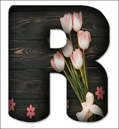 Roupie de sansonnet : l'expression signifie "un rien, une bagatelle". Comment la traduire littéralement ?