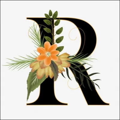 Rock Around the Clock : qui interprétait cette chanson mythique ?