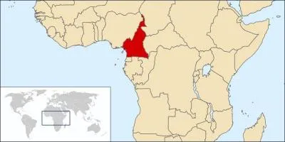 La partie colore indique