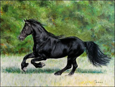 Quelle est la robe de ce cheval ?