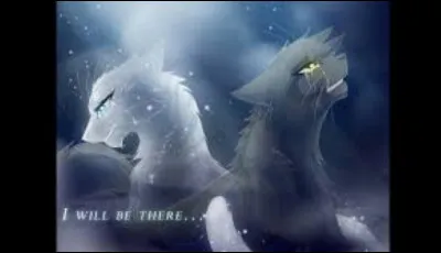 Si tu meurs, où irais-tu ?