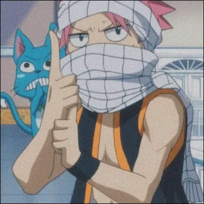 Quel est le surnom que donne Gajeel à Natsu ?