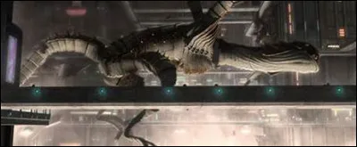 Quel est cet animal typiquement extraterrestre ?