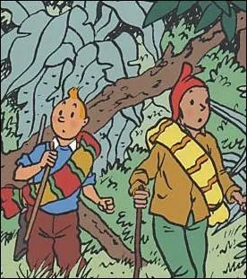 Cette vignette vient de l'album :