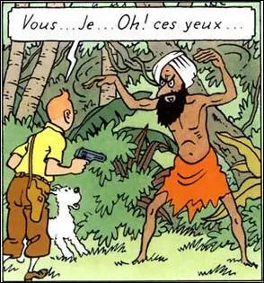 Cette vignette vient de l'album :